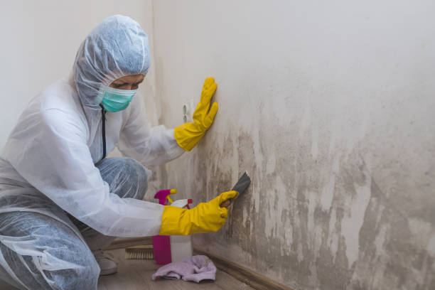 Mold Remediation for Vacation Homes in New Market, MD