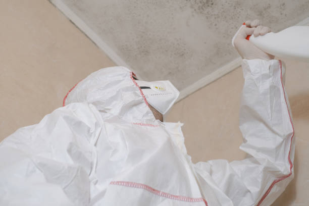 Best Mold Prevention Services  in New Market, MD